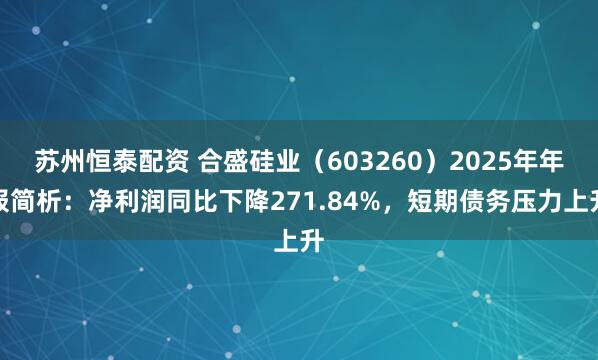 苏州恒泰配资 合盛硅业（603260）2025年年报简析：净利润同比下降271.84%，短期债务压力上升