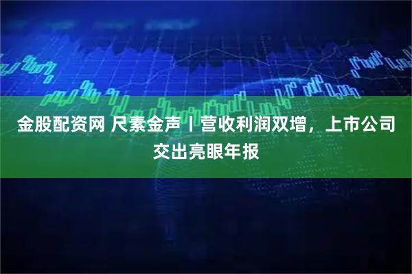 金股配资网 尺素金声丨营收利润双增，上市公司交出亮眼年报